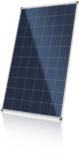 太陽光パネル カナディアンソーラー製 CS6K-265P-FG(265W)