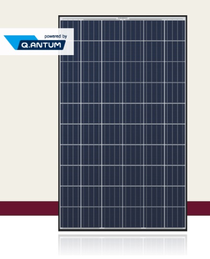 太陽光パネル Q.CELLS製 Q.PLUS BFR-G4.1(285W)