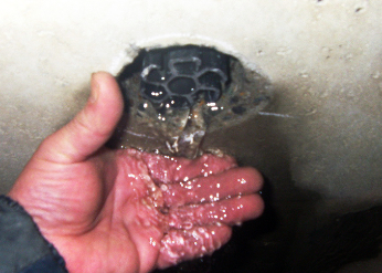 ミズデルン ボーリング集排水材