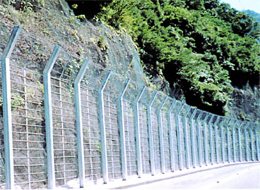 セトロンストーンガード 普及型